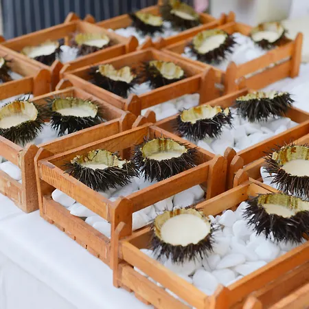 Restia Exclusive (adults Only)