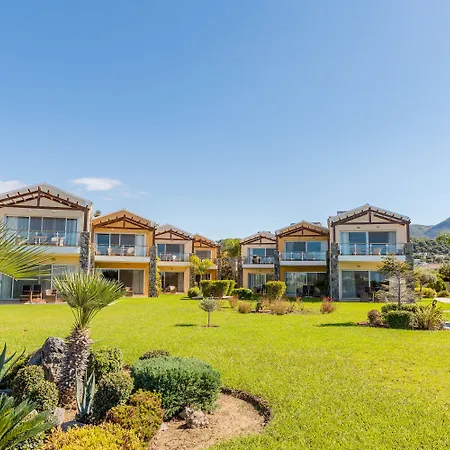 Restia Exclusive (adults Only)