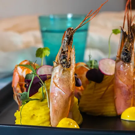 Restia Exclusive (adults Only)